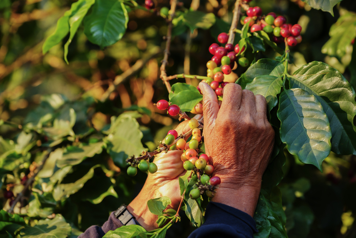 Festivales Puerto Rico Me Encanta